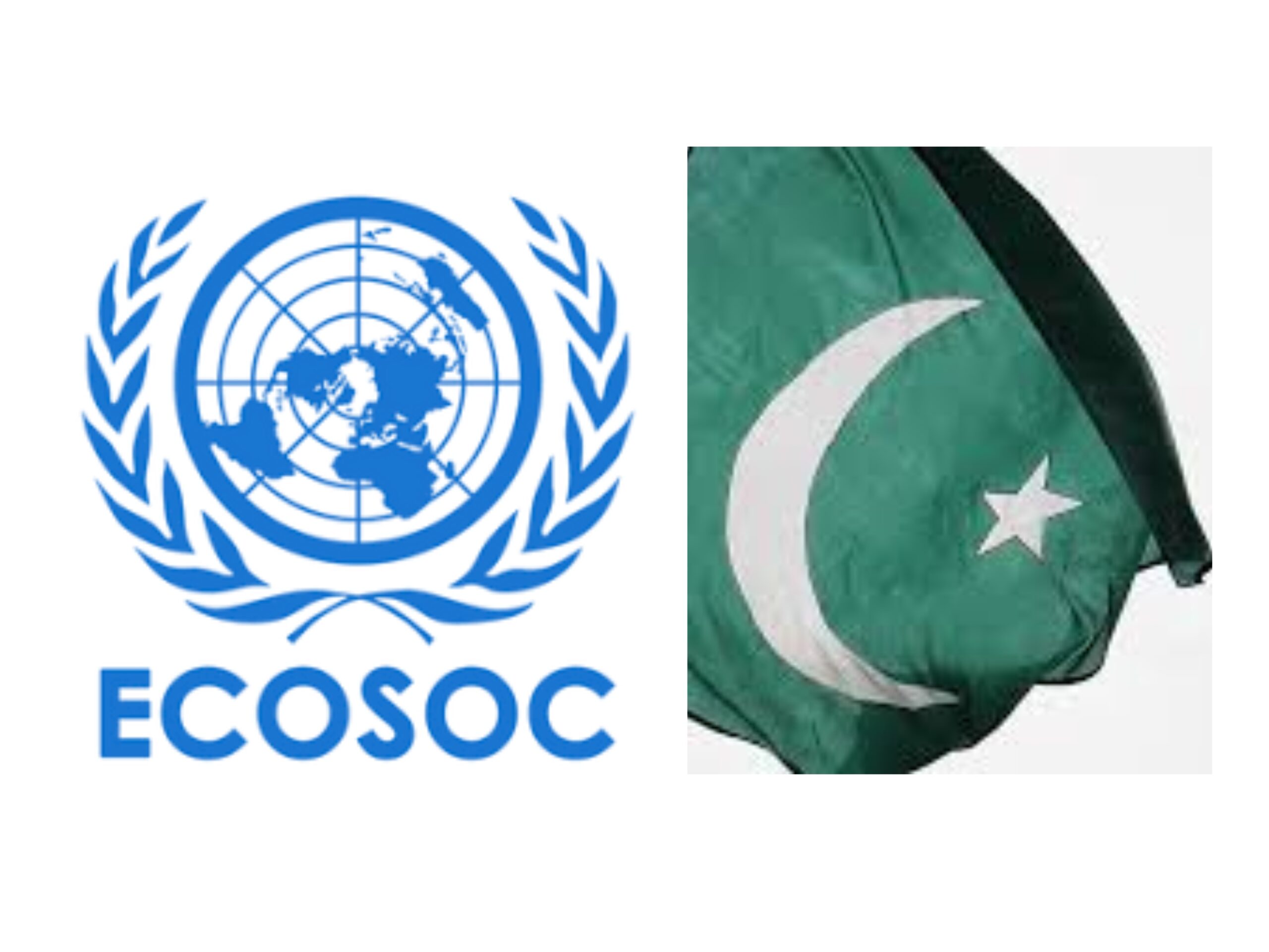 Pakistan’s Election as a Member of ECOSOC for term 20242026 theteampk